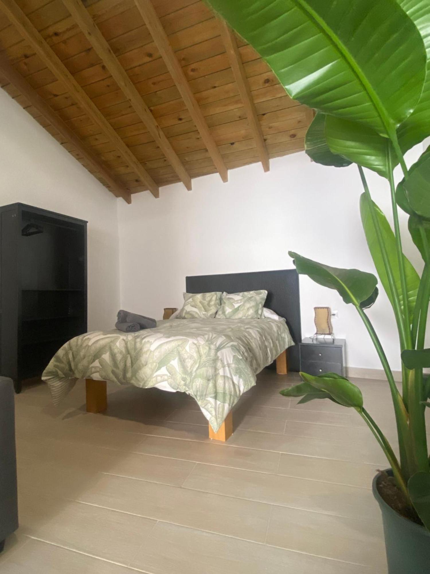 Apartamentos Algodonales Dış mekan fotoğraf